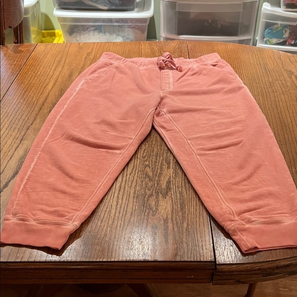 Veronica Beard Coral Pink Cozy Sweatshirt & Jogger Set XL - Picture 11 of 14